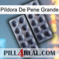 Píldora De Pene Grande 31